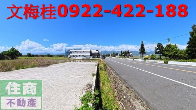 宜蘭宜蘭市農地-1