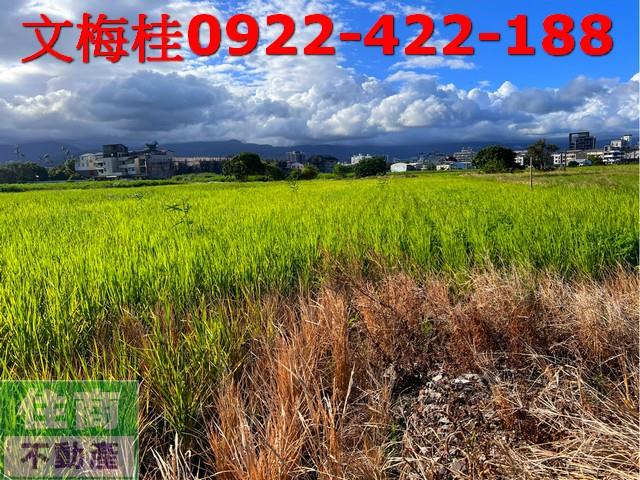 宜蘭宜蘭市農地-6