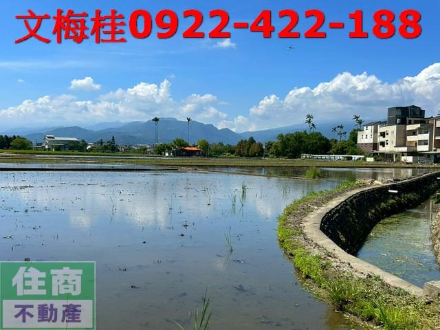 宜蘭宜蘭市農地-5