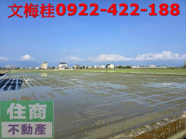 宜蘭宜蘭市農地-3