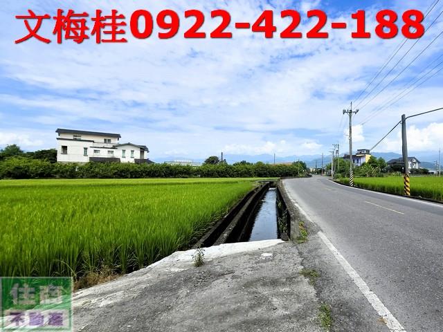 宜蘭宜蘭市農地-3