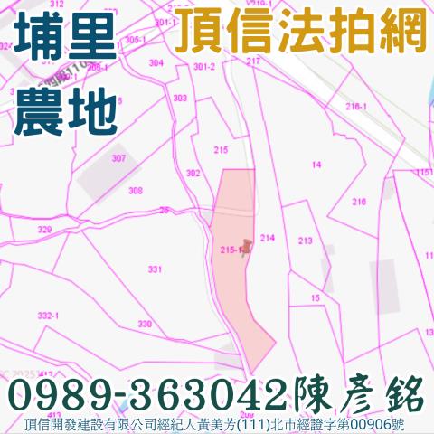 埔里農地法拍-3