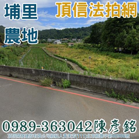 埔里農地法拍-1