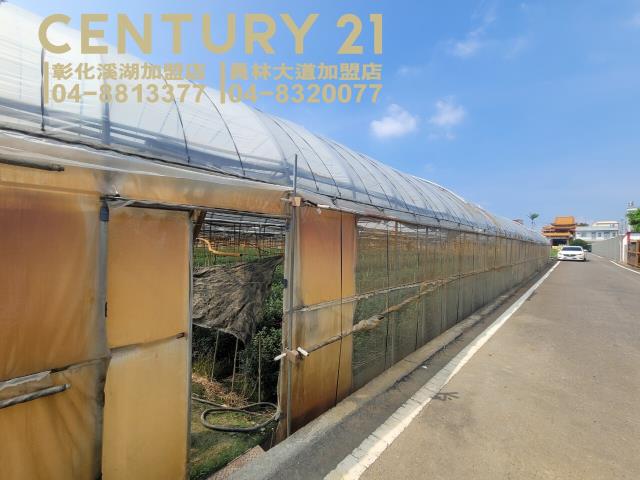 彰化田尾農地-5