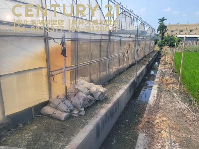 彰化田尾農地-7