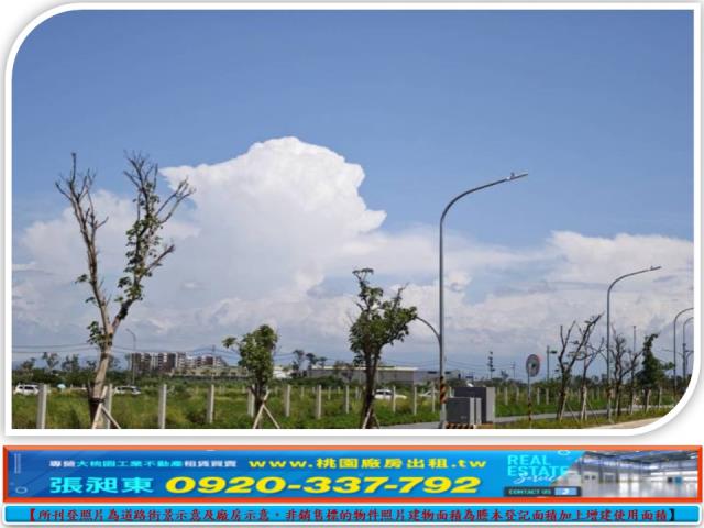 桃園大園建地-2