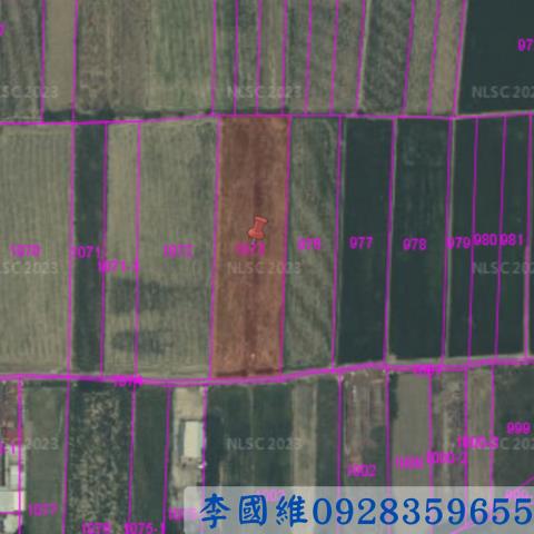 民雄法拍農地-3