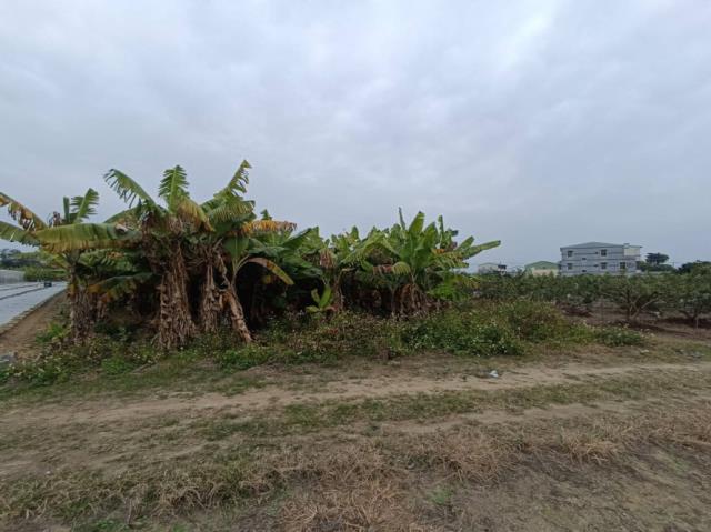 台南玉井農地-2