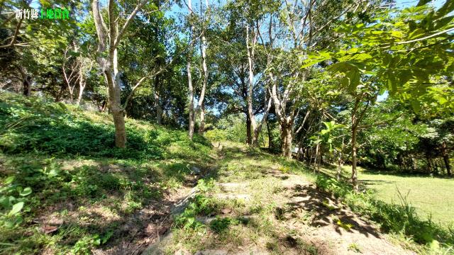 新竹關西農地-8