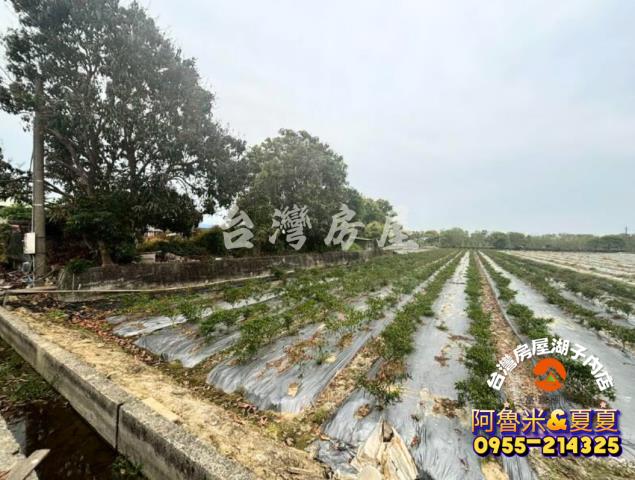 台南白河農地-4