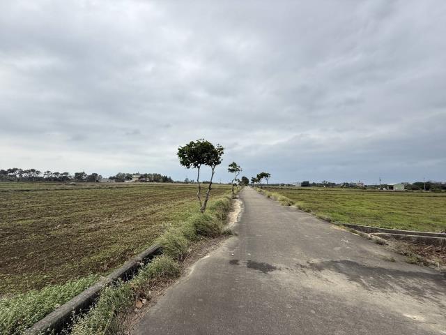 桃園新屋農地-1