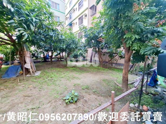 台南安平建地-1