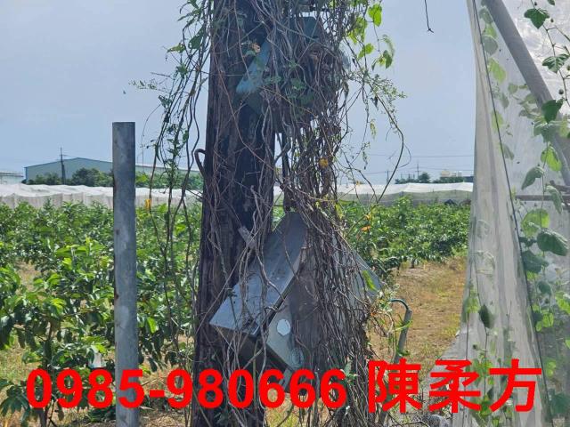 高雄燕巢農地-4