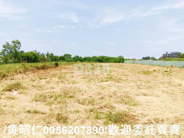 台南安南農地-4