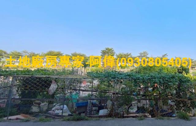 高雄大寮農地-1