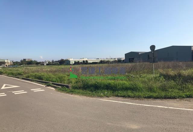 桃園大園農地-3