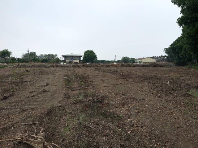 鹽埔農地-1