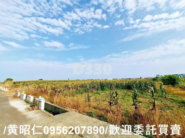 台南七股農地-6