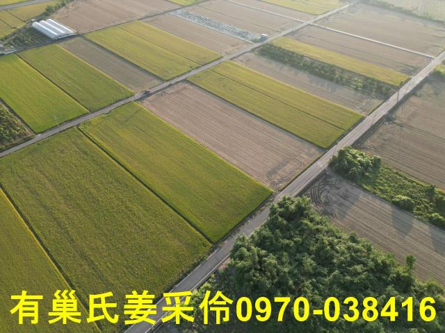 嘉義民雄農地-9