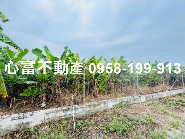 高雄岡山農地-1
