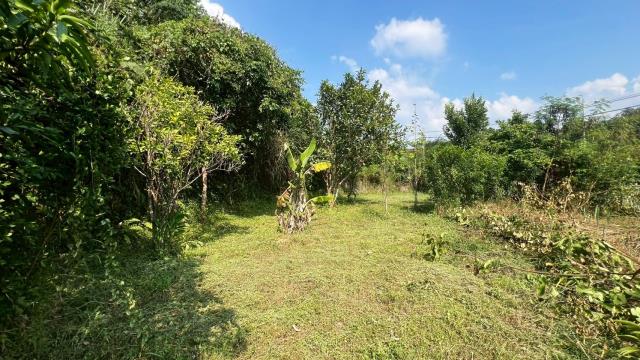 新竹交通用地-12