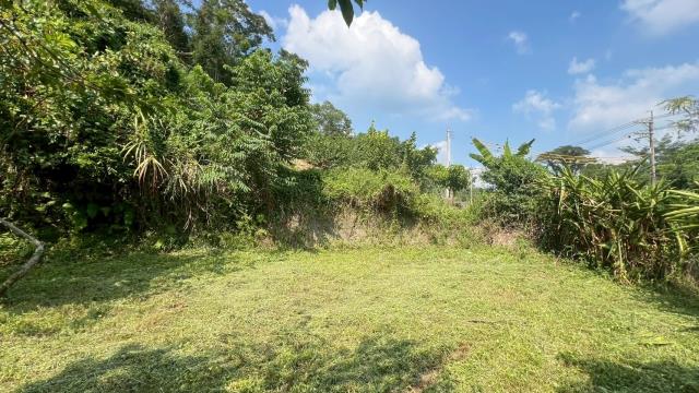 新竹交通用地-15