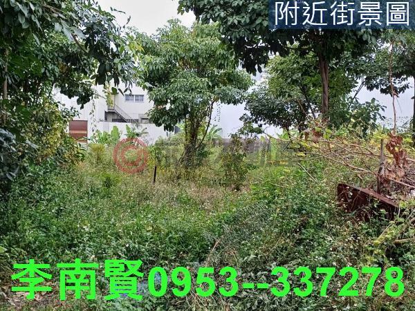 台南仁德工業地-4