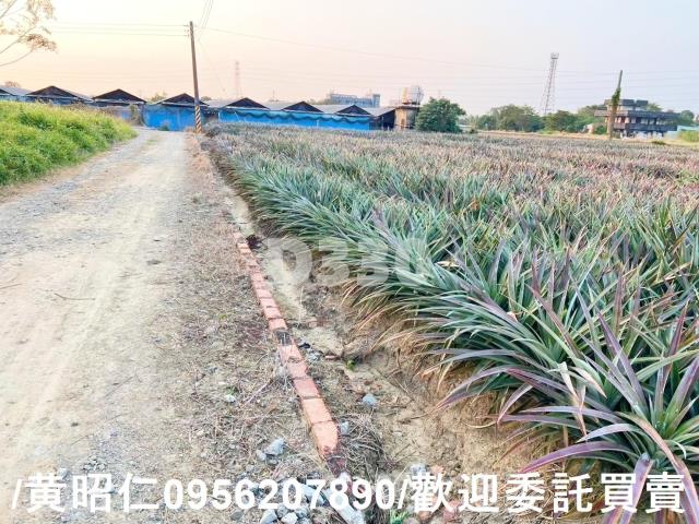 關廟農地-15