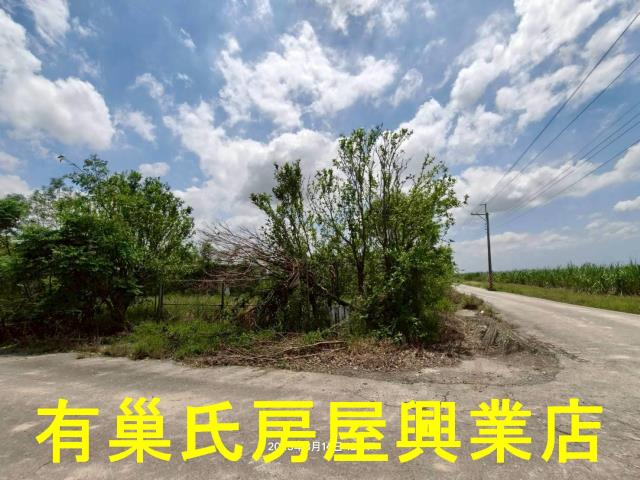 嘉義鹿草農地-8