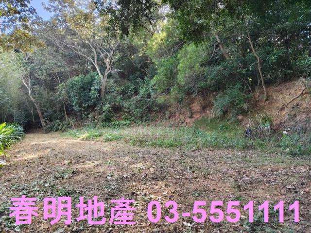 新竹關西農地-1