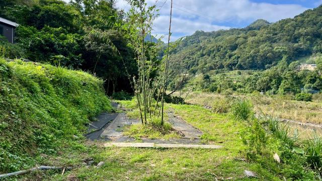 新竹橫山農地-10