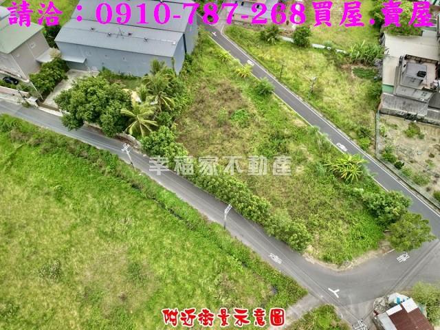 台南仁德農地-6