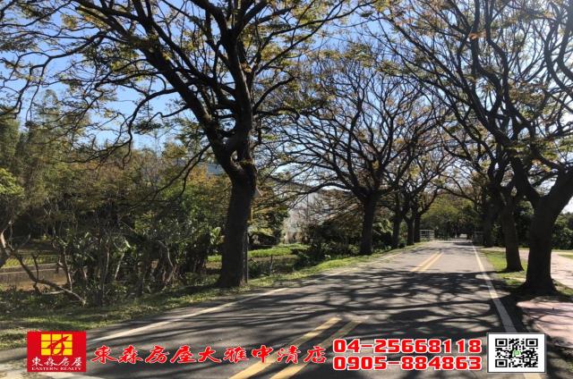 台中神岡農地-3