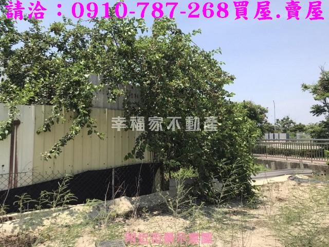 台南安南農地-11