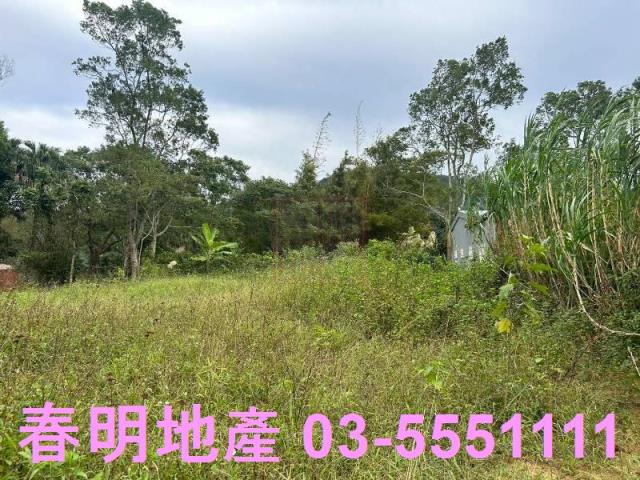 新竹峨眉農地-1