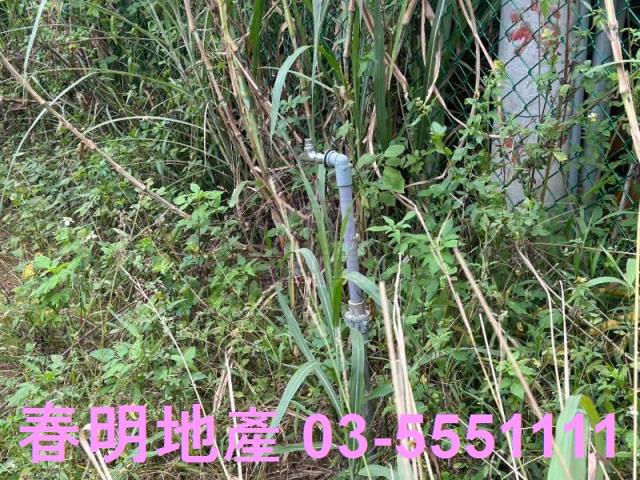 新竹峨眉農地-4