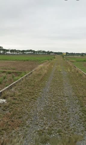 後壁農地拍賣-7