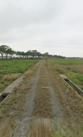 後壁農地拍賣-13