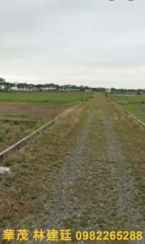 後壁農地拍賣-5