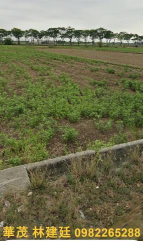 後壁農地拍賣-6