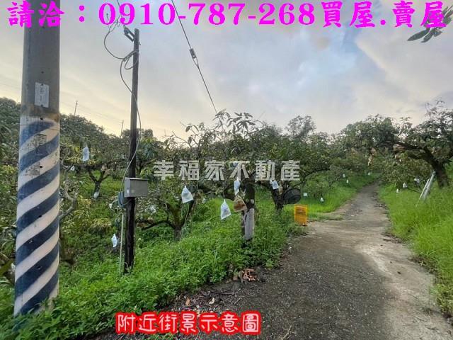 台南玉井農地-10