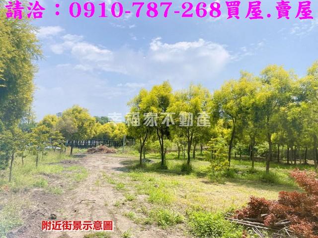 台南六甲農地-6