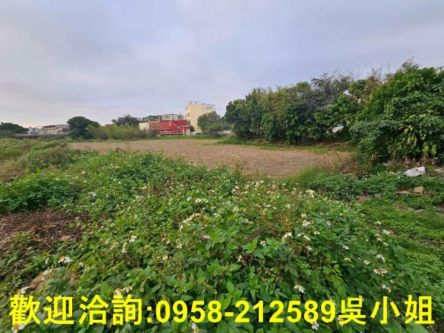 新竹湖口農地-5