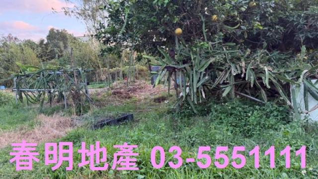 新竹竹東工業地-4