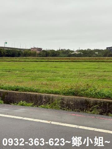 桃園觀音農地-2
