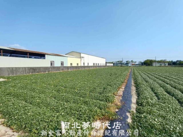 新市農地-4