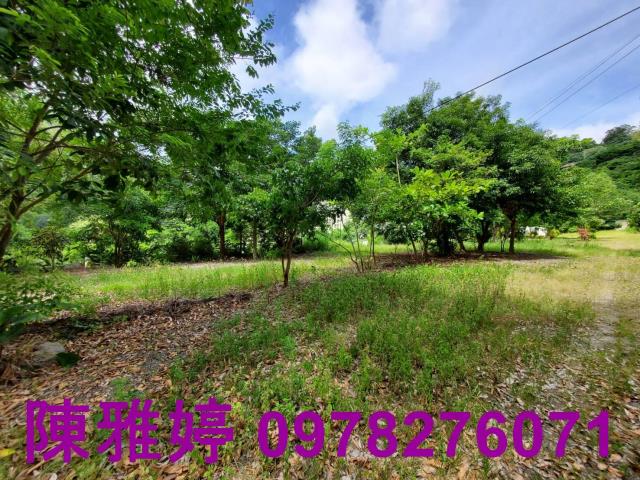 台東卑南農地-11