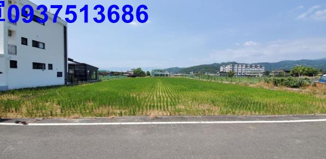 宜蘭礁溪農地-11