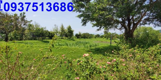 宜蘭礁溪農地-14