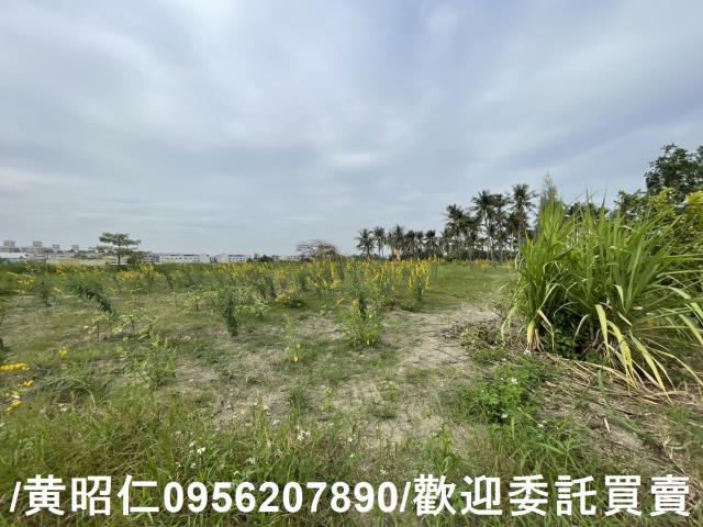 台南永康農地-3